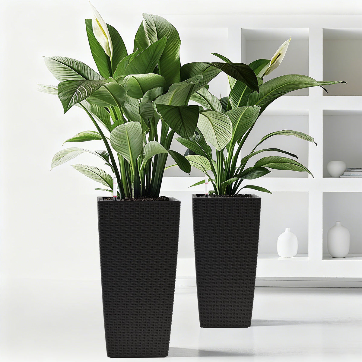 Square Planters with Automatic Watering System - Faux Rattan, Pack of 2