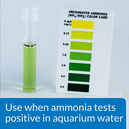 Ammo Lock Freshwater and Saltwater Aquarium Ammonia Detoxifier 1-Gallon Bottle