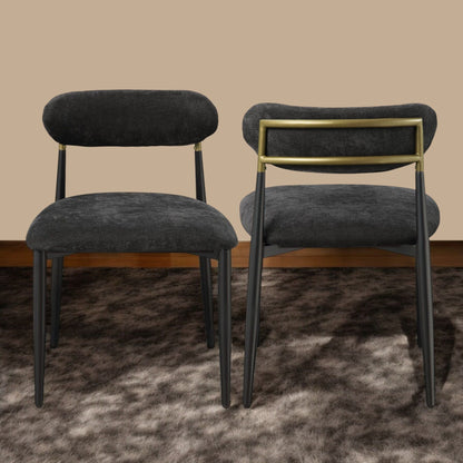 Contemporary Side Chair Set with Metal Frame - Beige