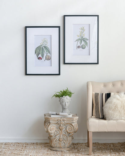 Botanical Wall Art Set of 2 with Black Frames - Multicolor