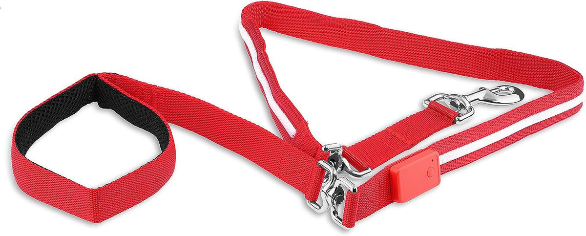 LED Dog Leash - USB Rechargeable Light, 6 Ft, Waterproof