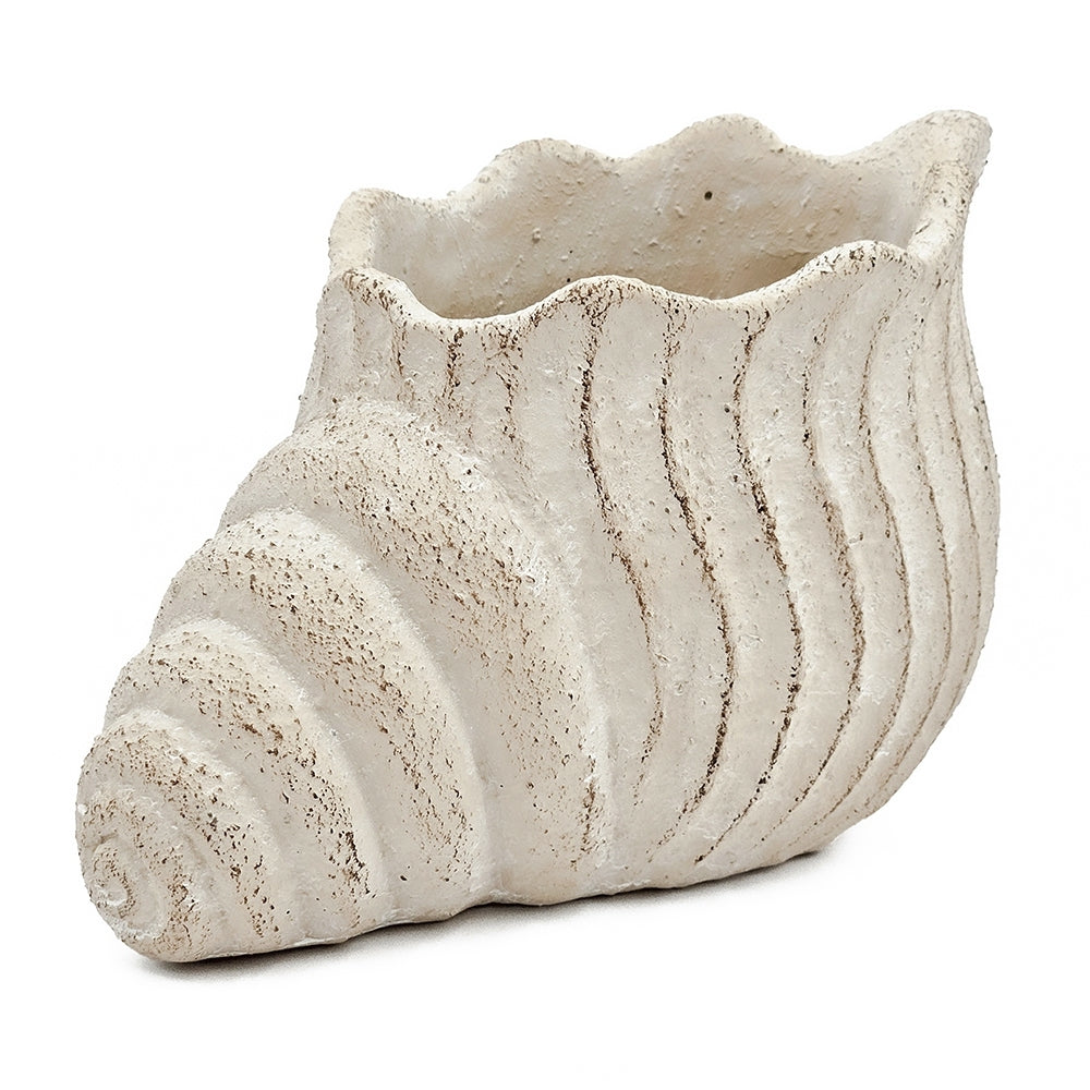 Sand and Cement Nautilus Shell Planter with Textured Finish - Beige Multi