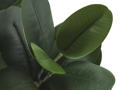 31" Tall Artificial Garcinia Tree with Real Touch Leaves - Green