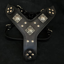 The "Eros" all Black Harness