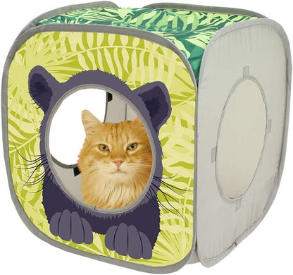 Collapsible Cat Cube