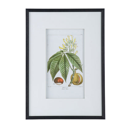 Botanical Wall Art Set of 2 with Black Frames - Multicolor