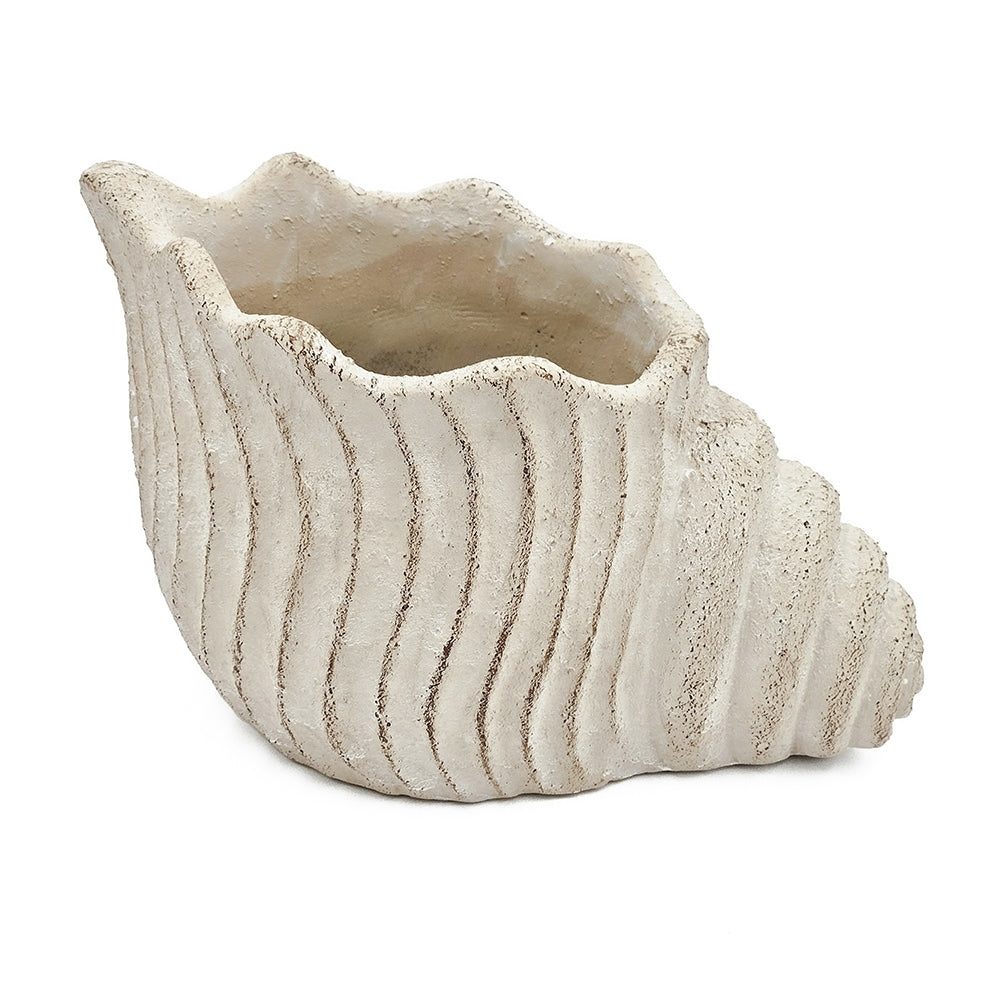 Sand and Cement Nautilus Shell Planter with Textured Finish - Beige Multi