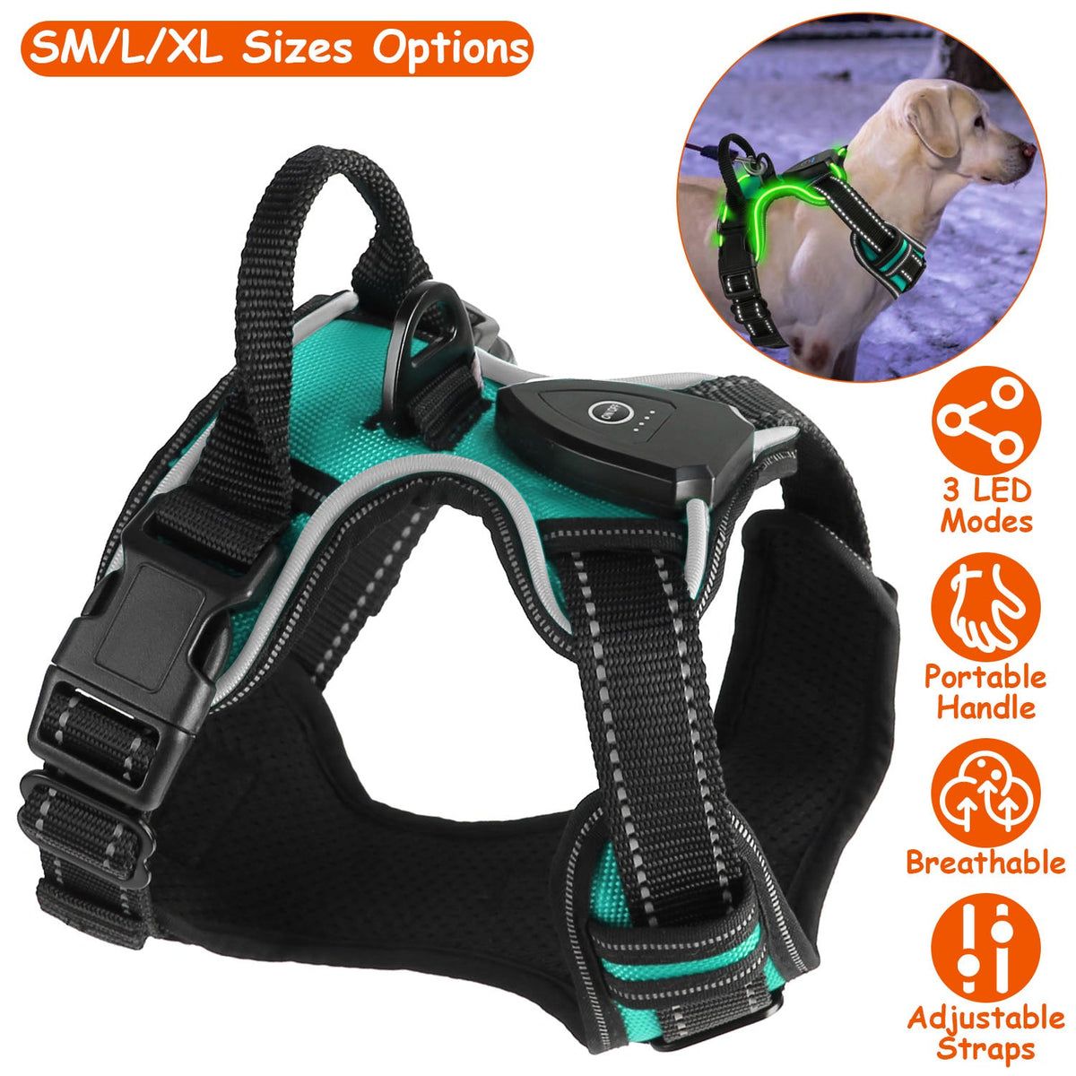 GBruno Light Up Dog Harness