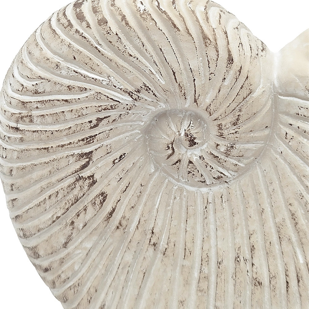 Sand and Cement Nautilus Shell Planter with Textured Finish - Beige Multi