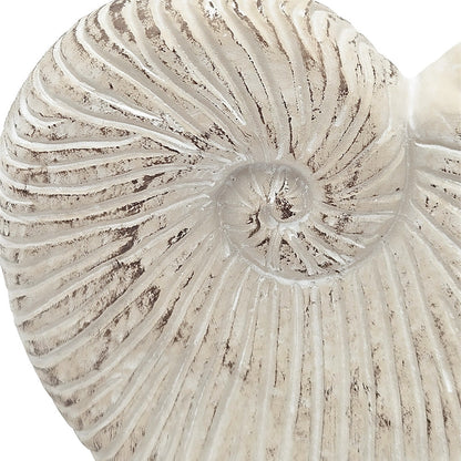 Sand and Cement Nautilus Shell Planter with Textured Finish - Beige Multi