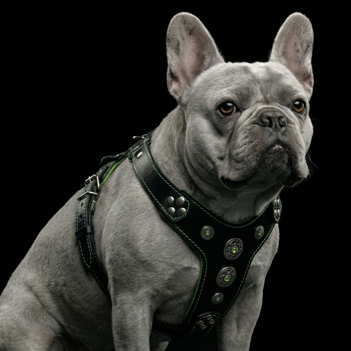 The ''Bijou'' harness Black & Green Small to Medium Size