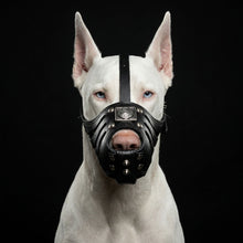''Eros'' Basket Muzzle All Black