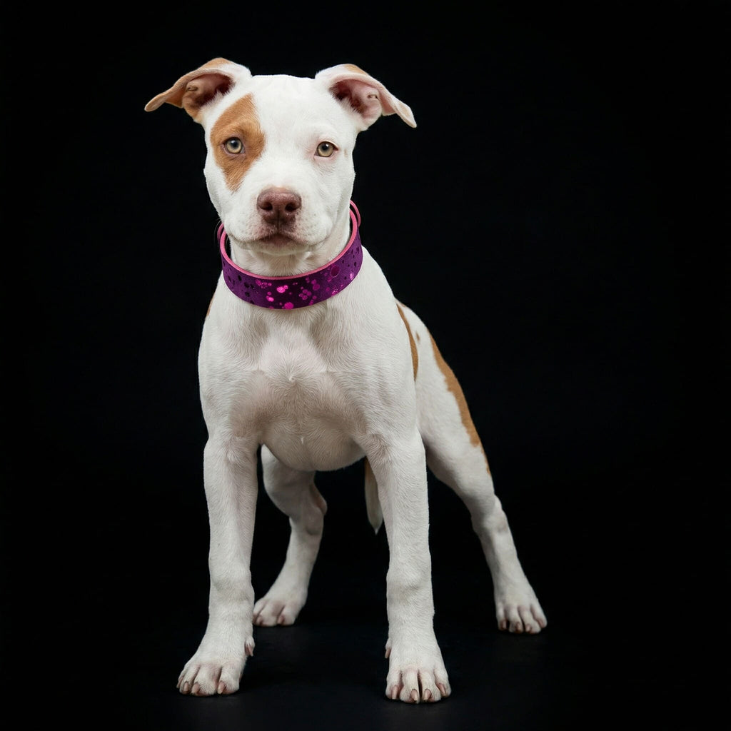 The "Viola Drops" puppy collar