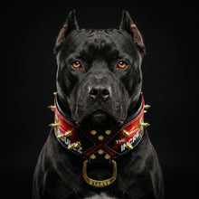 "The Incredibullz" Royalty Collar
