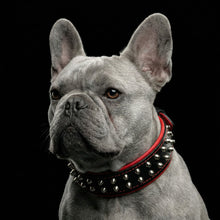 "Rocky" collar