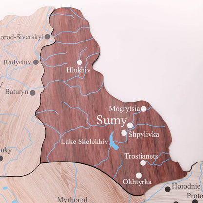 Wooden Map of Ukraine Cappuccino