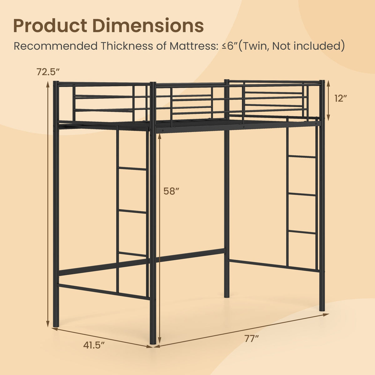 Twin Loft Bed Frame with 2 Ladders Full-length Guardrail
