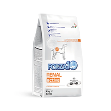 FORZA10 Adult Anchovy Renal Active Dog Food (8.8lb)