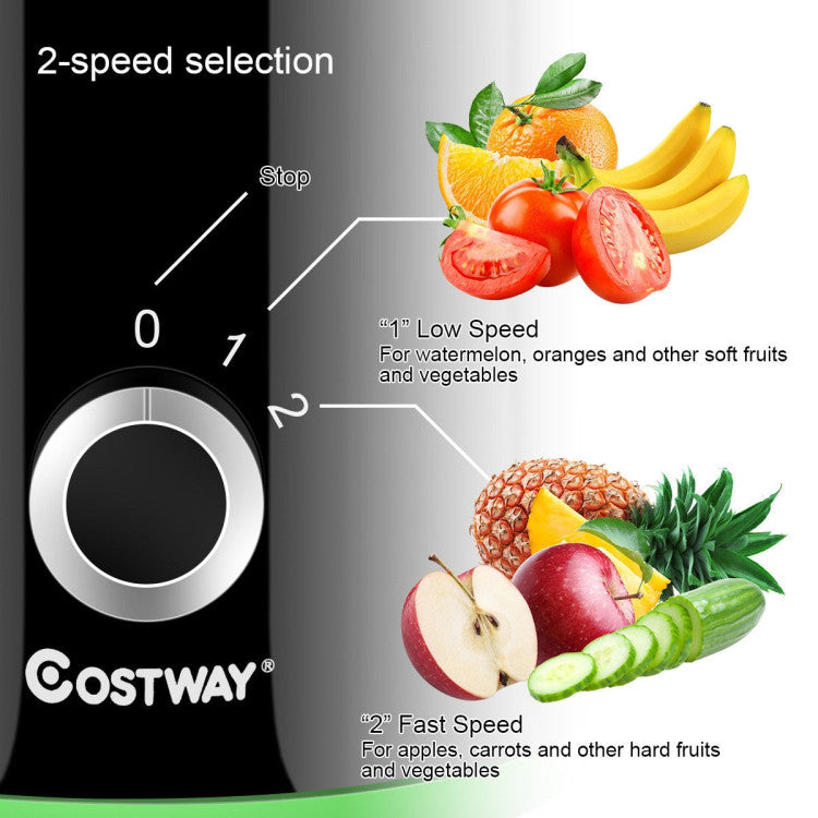 2 Speed Wide Mouth Fruit & Vegetable Electric Juicer