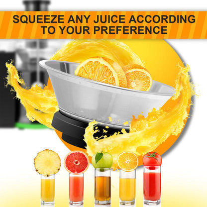 2 Speed Wide Mouth Fruit & Vegetable Electric Juicer