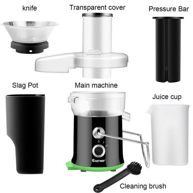 2 Speed Wide Mouth Fruit & Vegetable Electric Juicer