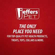 Jeffers Magic Spring Teeth Pet Grooming Comb