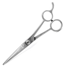 Professional Stainless Steel Pet Grooming Shears