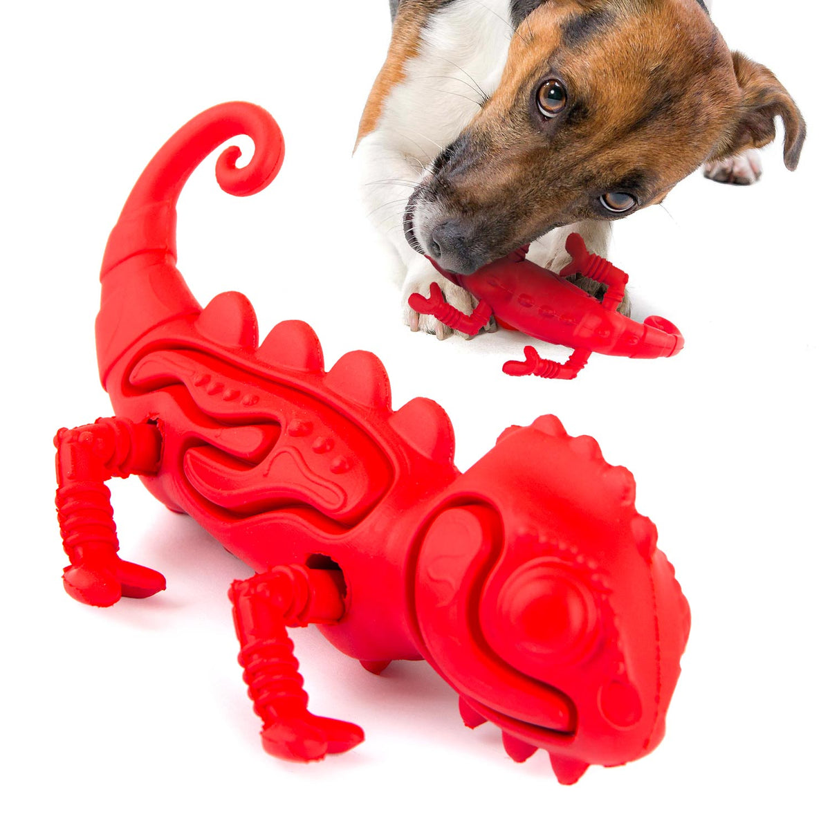 Jeffers Red Chameleon Natural Eco-Friendly Rubber Dental Dog Chew Toy for Medium Chewers