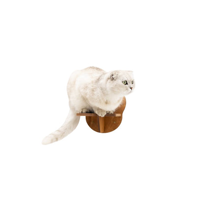 Wooden Cat Step - Oak