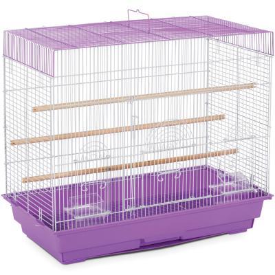 Flight Cage Purple sr no.SP18043