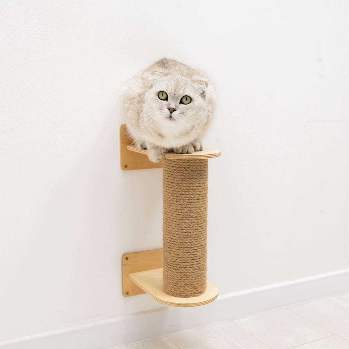 Small Cat Tree – Light